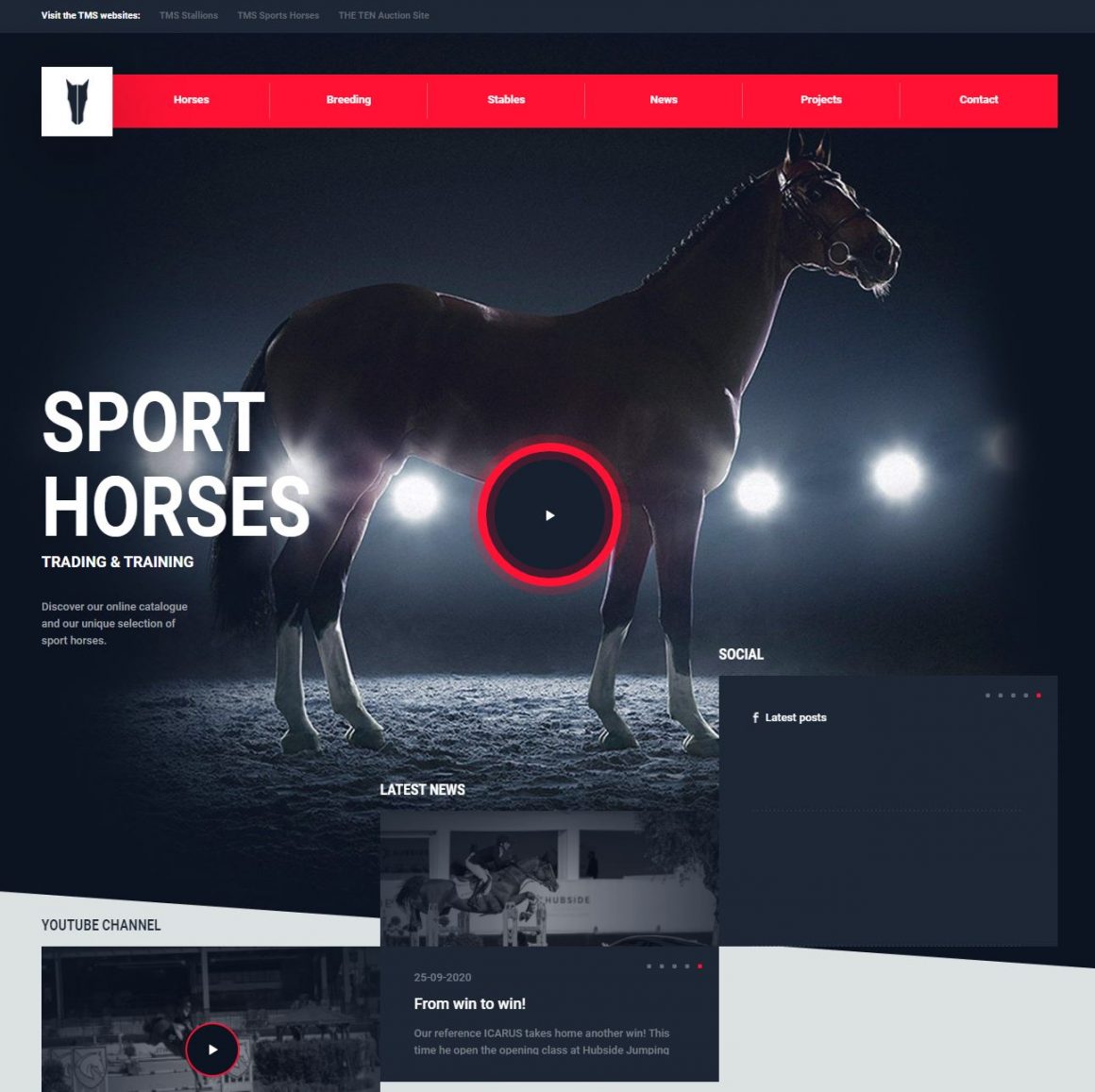 Tal Milstein Stables